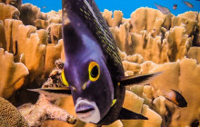 Private Guided Tours Bonaire28