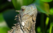 Private Guided Tours Bonaire6