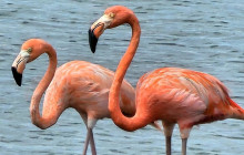 Private Guided Tours Bonaire22