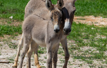 Private Guided Tours Bonaire28