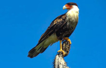 Private Guided Tours Bonaire31