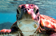 Private Guided Tours Bonaire3
