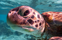 Private Guided Tours Bonaire7