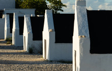 Private Guided Tours Bonaire9