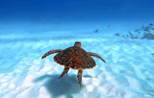 Private Guided Tours Bonaire11