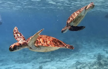 Private Guided Tours Bonaire36