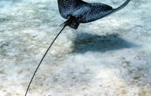 Private Guided Tours Bonaire37