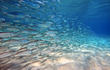 Private Guided Tours Bonaire38