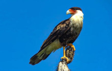 Private Guided Tours Bonaire39