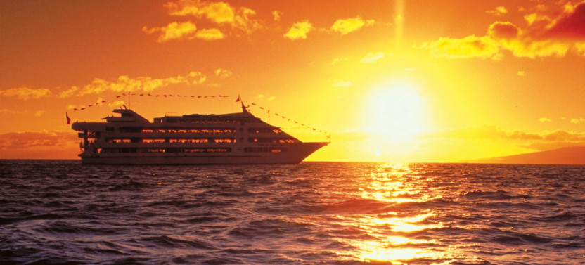Three Star Sunset Dinner & Show