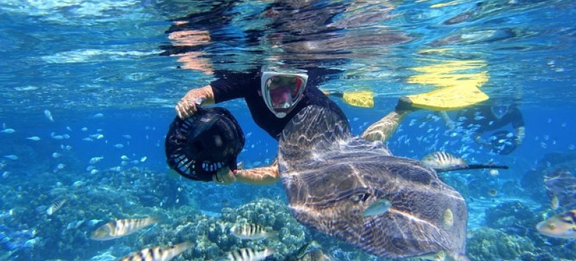 Sea Scooter Jet Snorkeling Reef Adventure