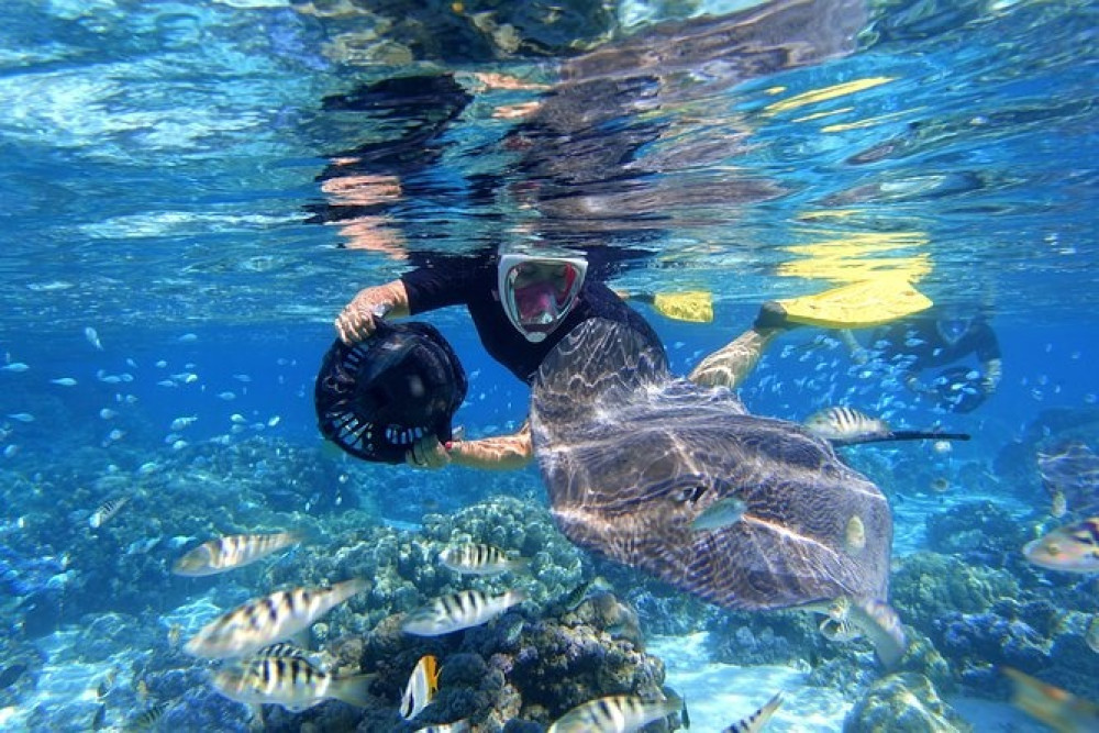 Sea Scooter Jet Snorkeling Reef Adventure