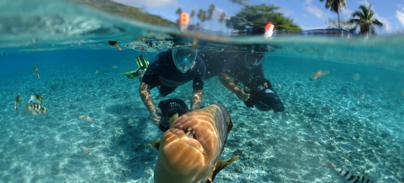 Private Afternoon Boat & Snorkeling Tour