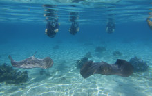 Moorea Water Games15