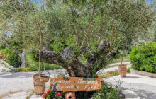 Dali Tours Zakynthos9