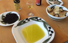 Dali Tours Zakynthos3