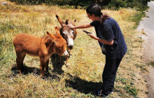 Dali Tours Zakynthos6