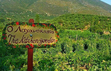 Dali Tours Zakynthos8