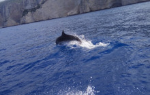 Dali Tours Zakynthos6