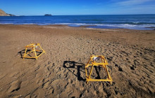 Dali Tours Zakynthos9