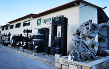 Dali Tours Zakynthos15