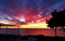 Dali Tours Zakynthos4