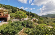 Dali Tours Zakynthos16