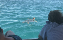 Dali Tours Zakynthos10