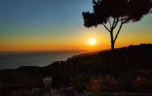 Dali Tours Zakynthos4