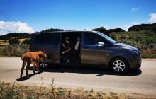 Dali Tours Zakynthos10
