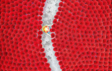 Truong Sa Tourist Vietnam DMC5