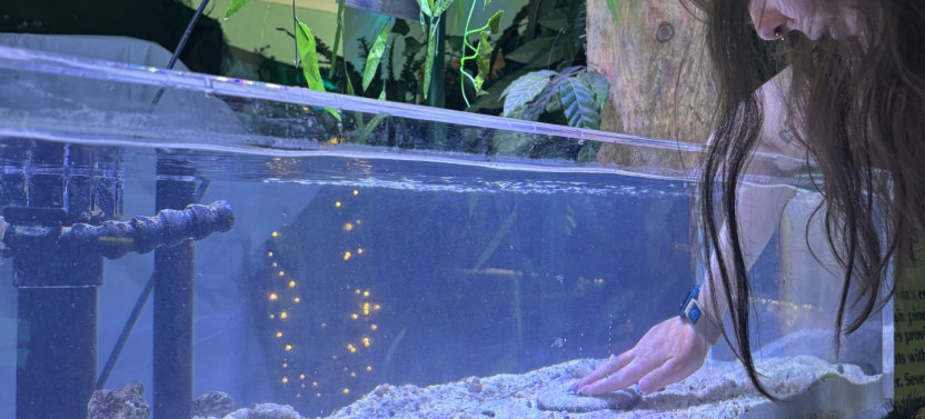 Crystal River Aquarium General Admission with Interactive Touch Tanks