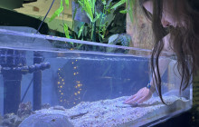 SeaDaddy's Dive Center2