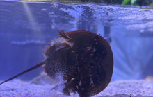 SeaDaddy's Dive Center5