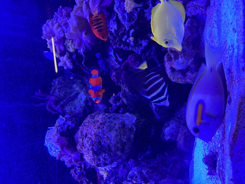 Crystal River Aquarium General Admission with Interactive Touch Tanks