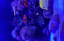 SeaDaddy's Dive Center1