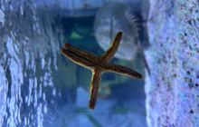 SeaDaddy's Dive Center7