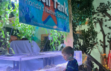 SeaDaddy's Dive Center8