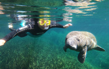 SeaDaddy's Dive Center1