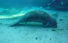 SeaDaddy's Dive Center1