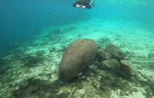 SeaDaddy's Dive Center1