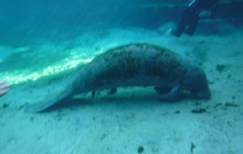 SeaDaddy's Dive Center2