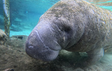SeaDaddy's Dive Center2