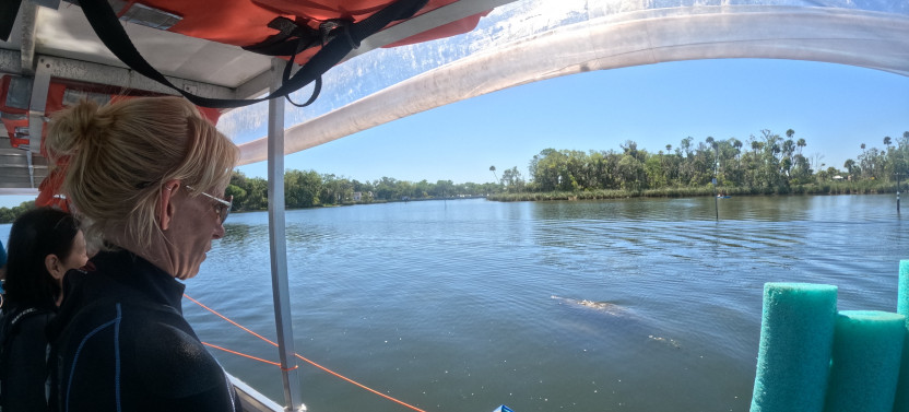 Small Group VIP Tour with in Water Guide- 4 Hours
