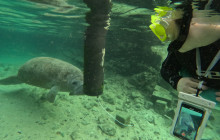 SeaDaddy's Dive Center1