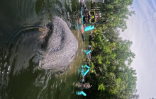 SeaDaddy's Dive Center5