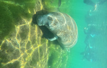 SeaDaddy's Dive Center4