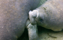 SeaDaddy's Dive Center3