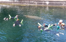 SeaDaddy's Dive Center4