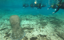 SeaDaddy's Dive Center5